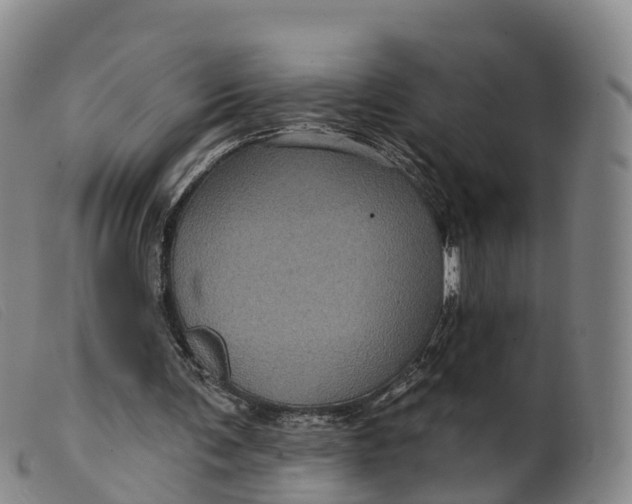 X0000099380291200805221813