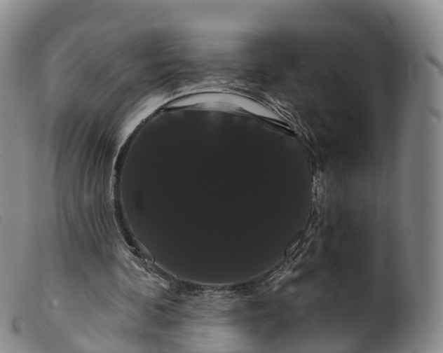 X0000099380292200805221813