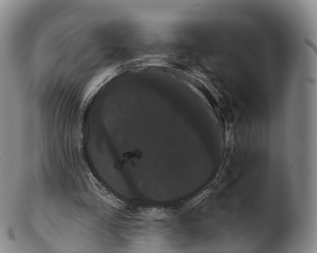 X0000099380293200805221813