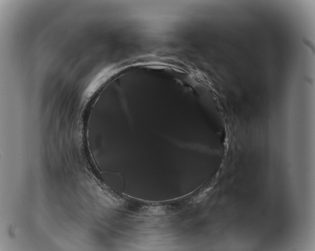 X0000099380295200805221813