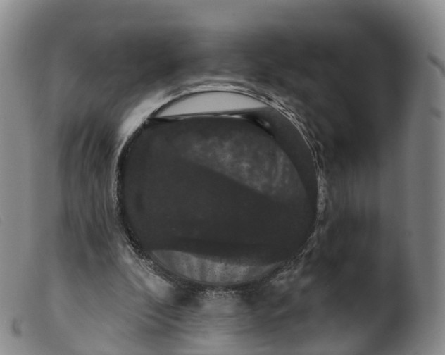 X0000099380296200805221813