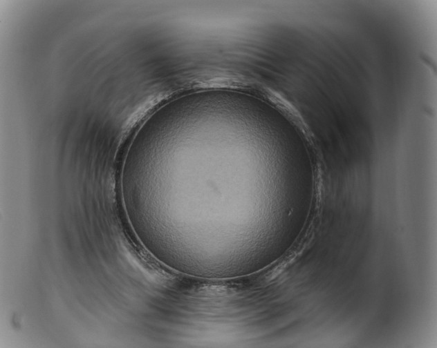 X0000099380298200805221812