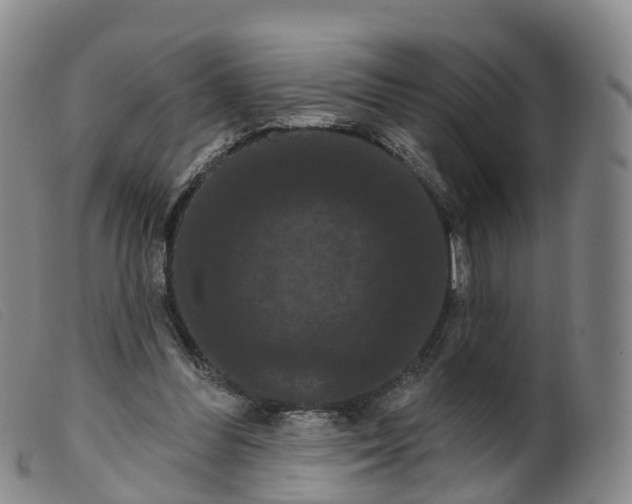 X0000099380300200805221812