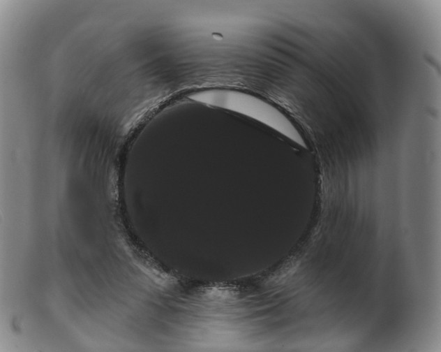 X0000099380303200805221812