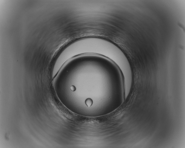 X0000099380304200805221812