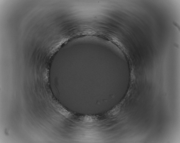 X0000099380305200805221812