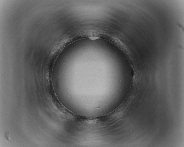 X0000099380306200805221812