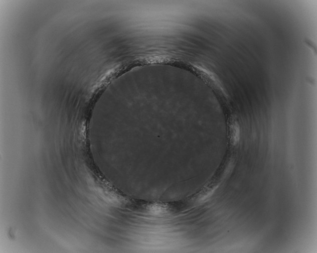 X0000099380308200805221812