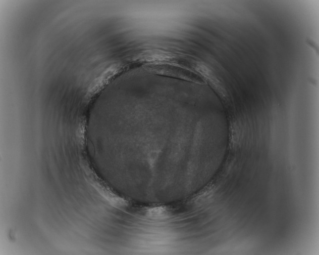 X0000099380309200805221812