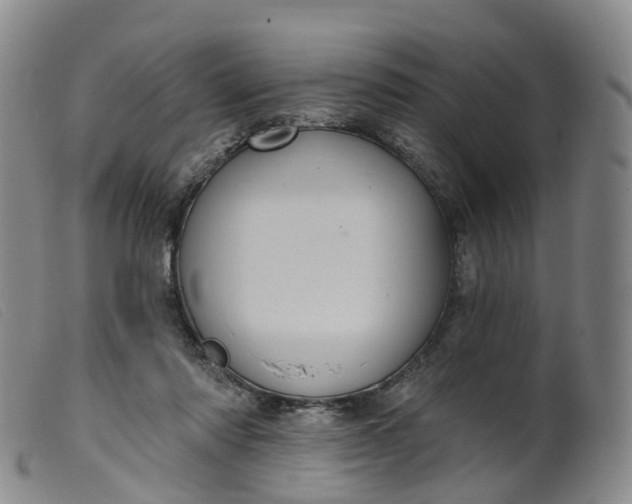 X0000099380310200805221812