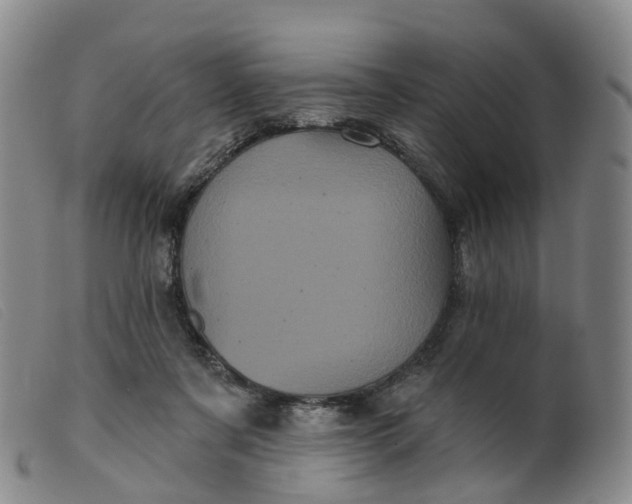 X0000099380311200805221812