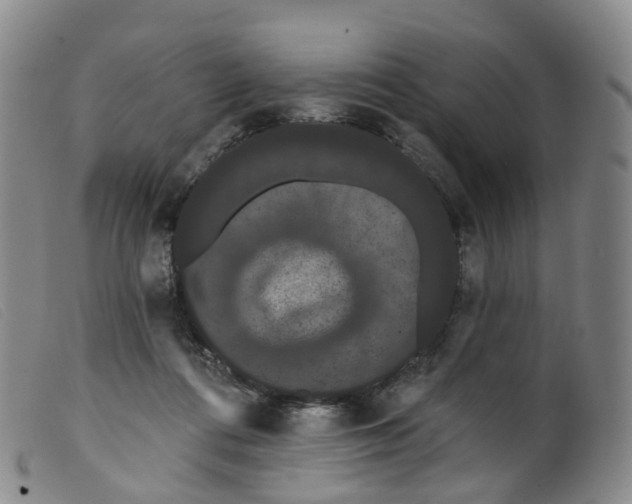 X0000099380312200805221812