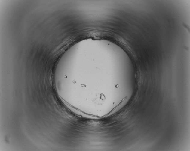 X0000099380313200805221812