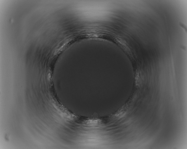 X0000099380314200805221812