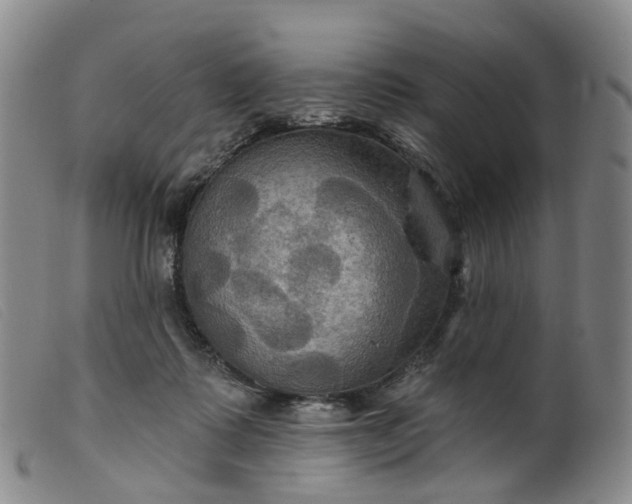 X0000099380315200805221812