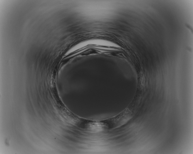 X0000099380316200805221812