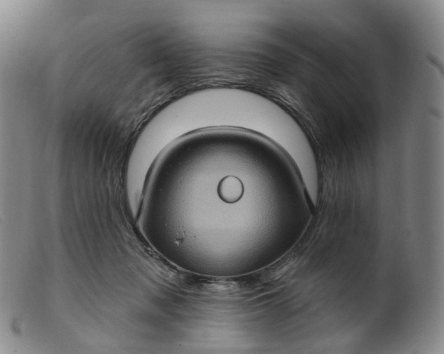 X0000099380317200805221812