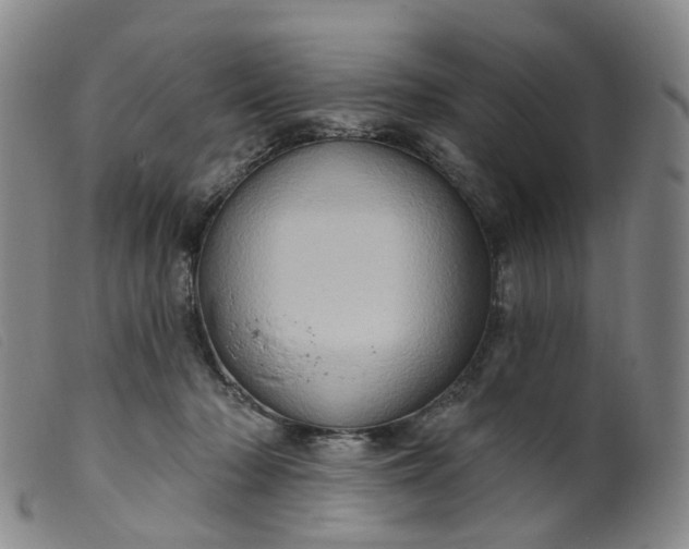 X0000099380318200805221812