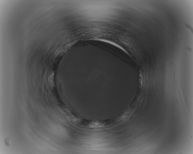 X0000099380319200805221812