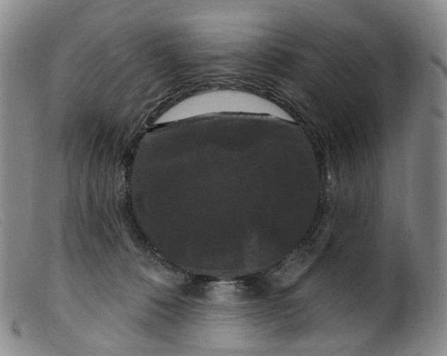 X0000099380320200805221812