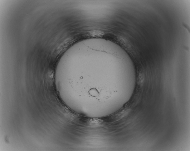 X0000099380321200805221812