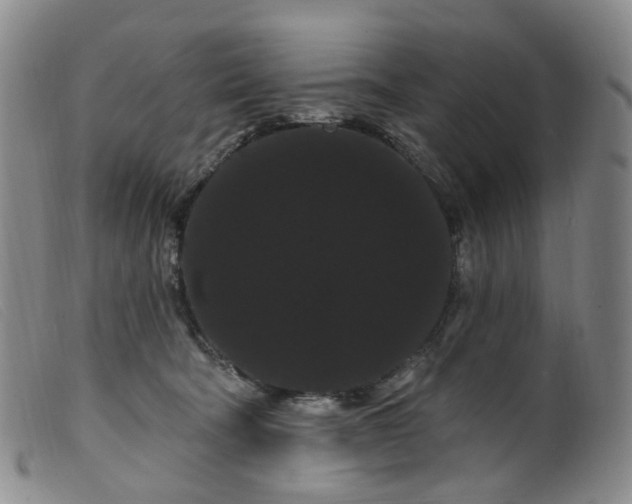 X0000099380322200805221812