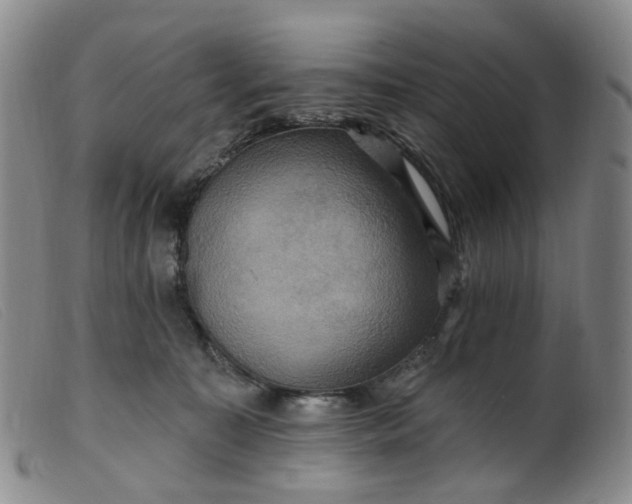 X0000099380323200805221812