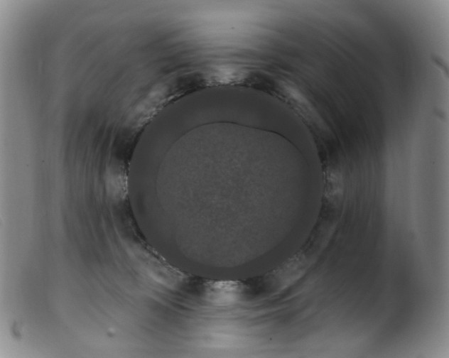 X0000099380324200805221812