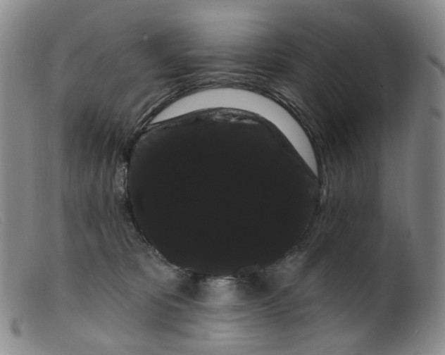 X0000099380325200805221812