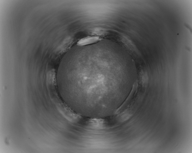 X0000099380328200805221812