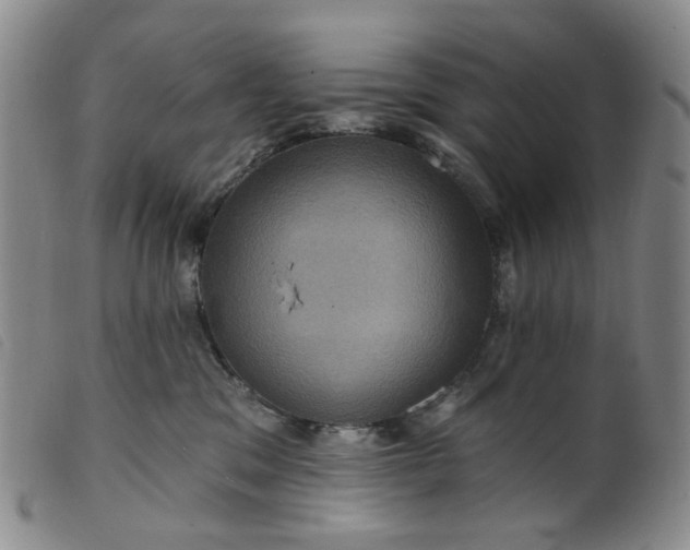 X0000099380329200805221812