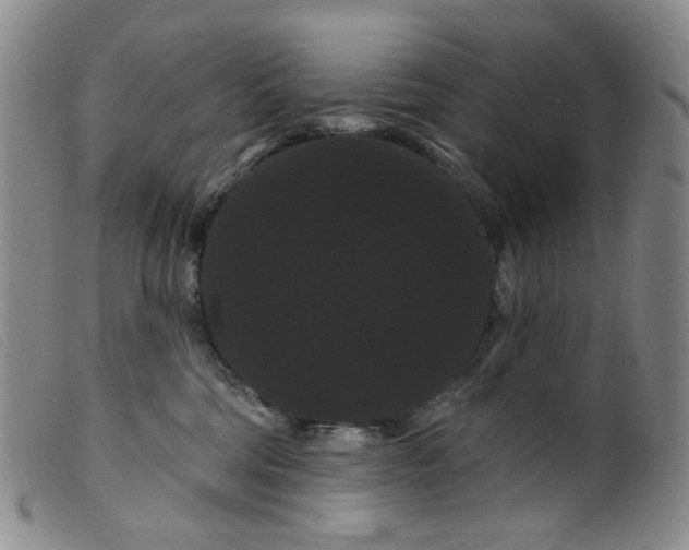 X0000099380330200805221812