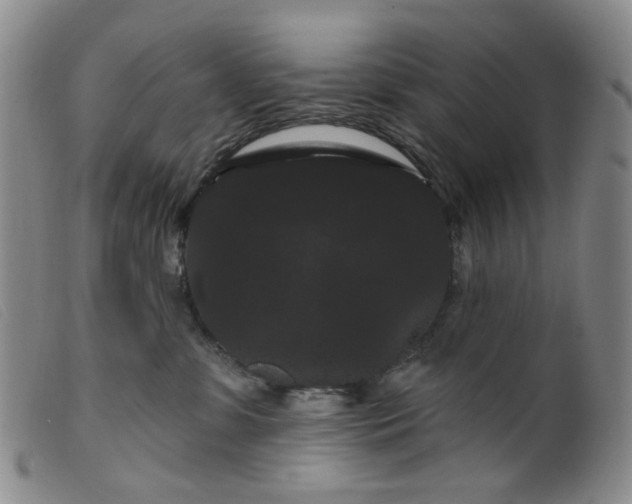 X0000099380331200805221812