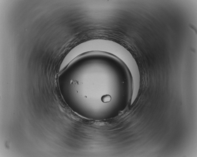 X0000099380332200805221812