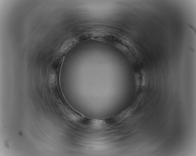 X0000099380333200805221812