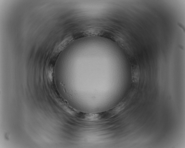 X0000099380334200805221812