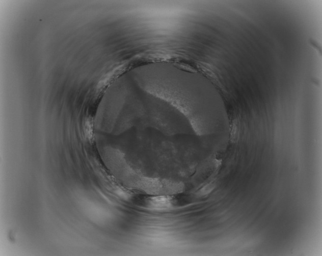 X0000099380335200805221812