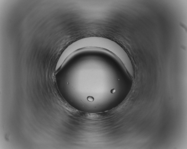 X0000099380336200805221812