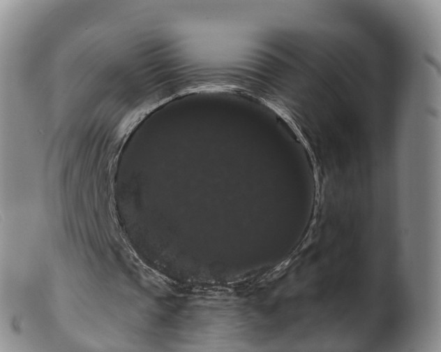 X0000099380337200805221811