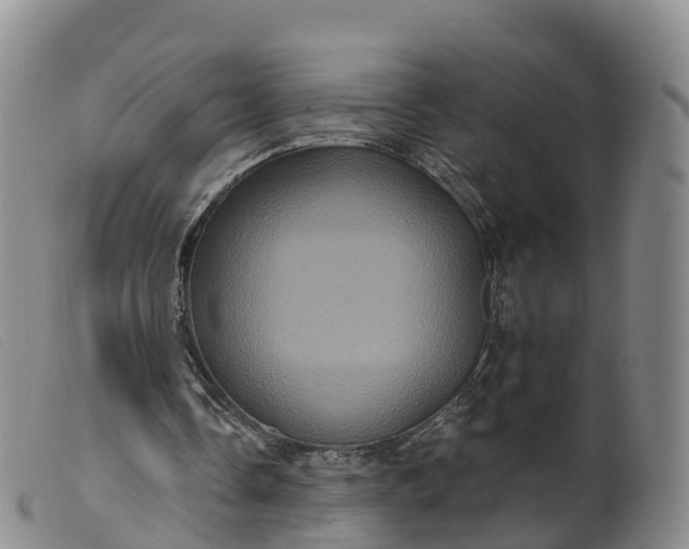 X0000099380338200805221811