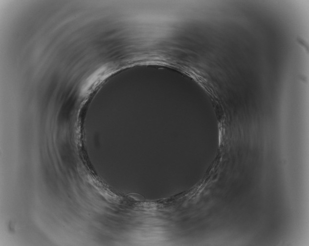 X0000099380339200805221811