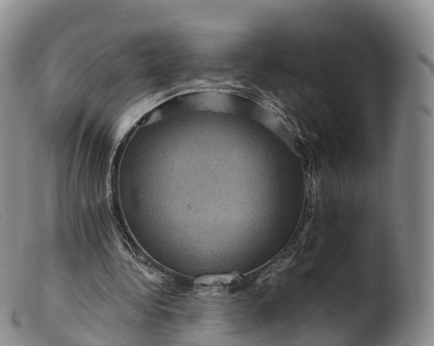 X0000099380340200805221811