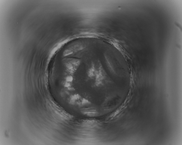 X0000099380342200805221811