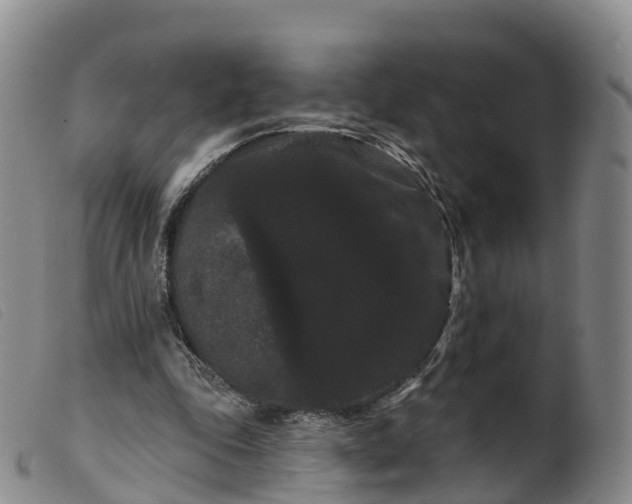 X0000099380343200805221811