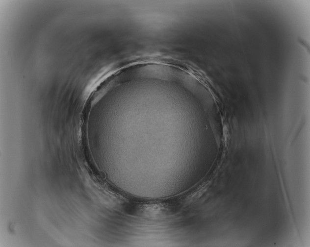 X0000099380344200805221811