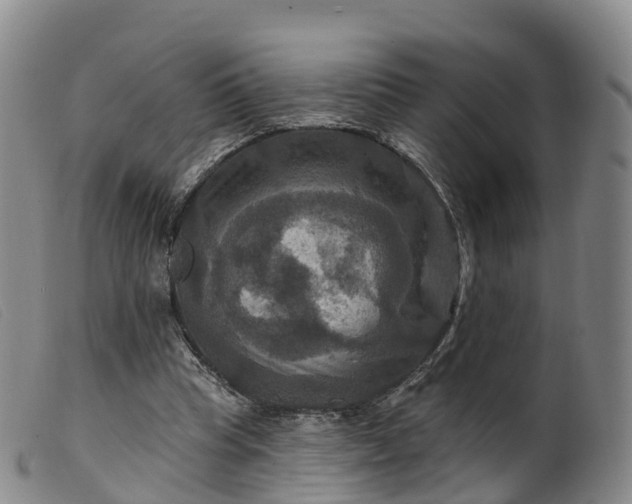 X0000099380345200805221811