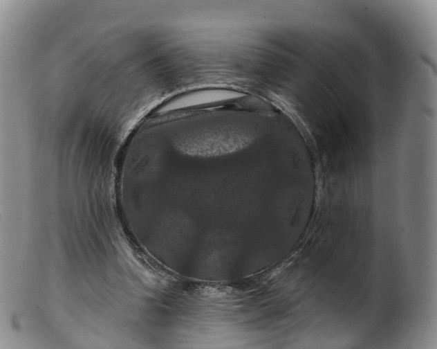 X0000099380346200805221811