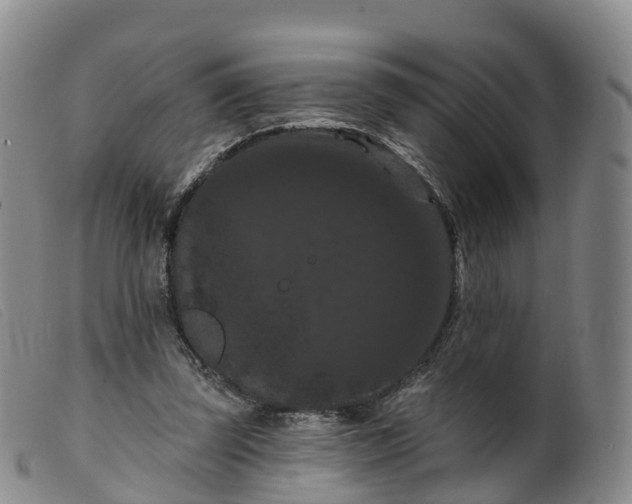 X0000099380347200805221811