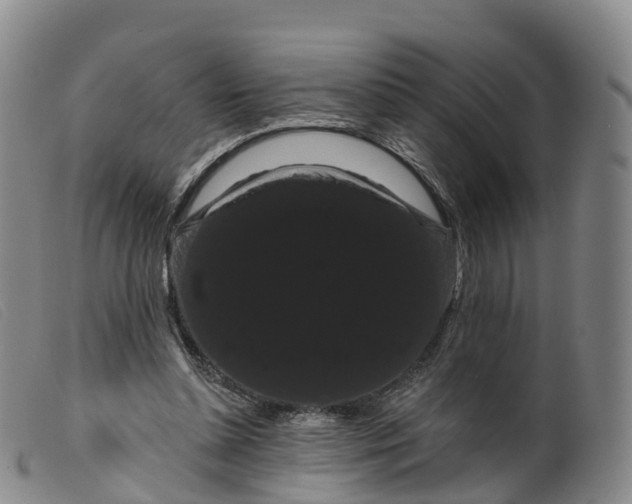 X0000099380348200805221811