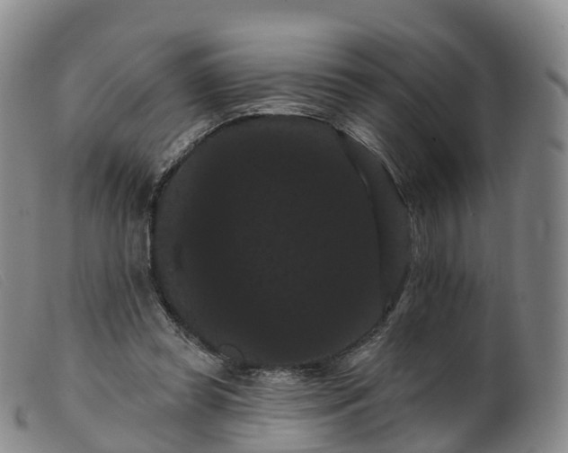 X0000099380349200805221811